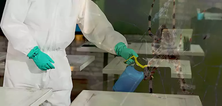 Why Buyers Still Want Homes With Pest Infestations in Clarksville, TN?