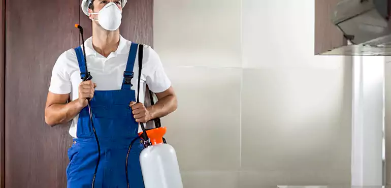 Why Clarksville Homeowners Choose Us When Pests Make Selling Difficult